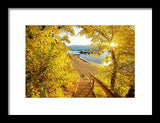 Autumn Steps - Lake Tahoe - Framed Print