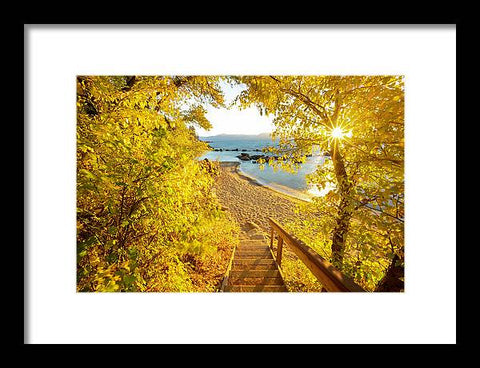 Autumn Steps - Lake Tahoe - Framed Print