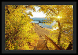 Autumn Steps - Lake Tahoe - Framed Print