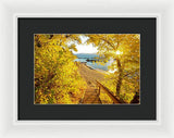 Autumn Steps - Lake Tahoe - Framed Print