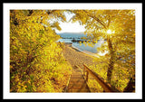 Autumn Steps - Lake Tahoe - Framed Print