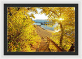 Autumn Steps - Lake Tahoe - Framed Print