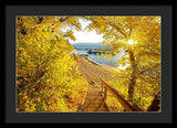 Autumn Steps - Lake Tahoe - Framed Print