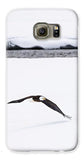 Bald Eagle Fly By - Phone Case-Lake Tahoe Prints