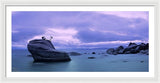 Bonsai Rock Blues By Brad Scott - Framed Print