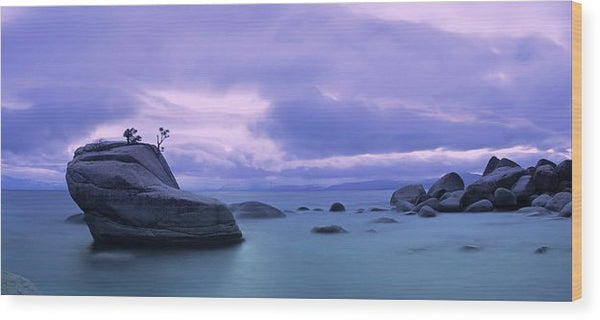 Bonsai Rock Blues By Brad Scott - Wood Print