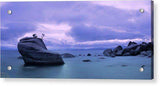 Bonsai Rock Blues By Brad Scott - Acrylic Print