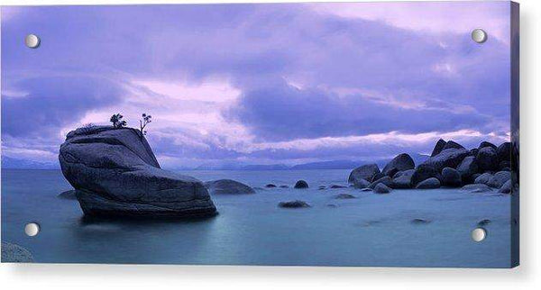 Bonsai Rock Blues By Brad Scott - Acrylic Print