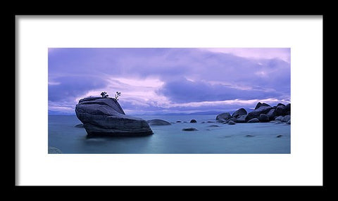 Bonsai Rock Blues By Brad Scott - Framed Print