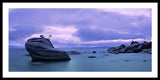 Bonsai Rock Blues By Brad Scott - Framed Print
