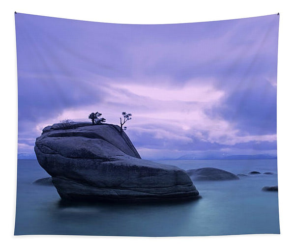 Bonsai Rock Blues By Brad Scott - Tapestry