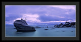 Bonsai Rock Blues By Brad Scott - Framed Print