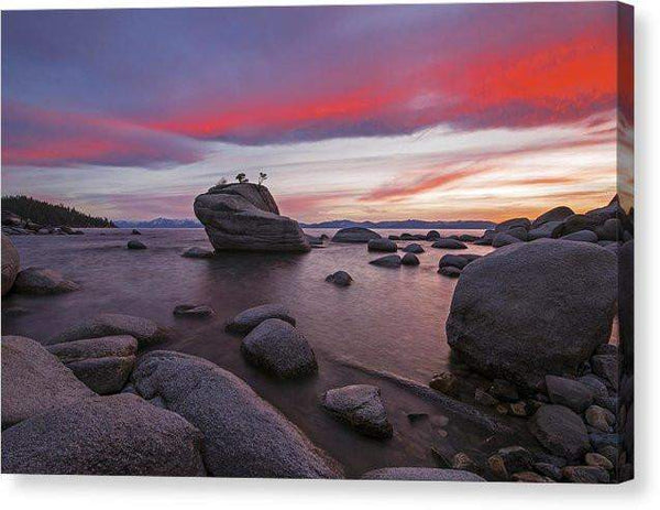 Bonsai Rock On Fire - Canvas Print-10.000" x 6.625"-Lake Tahoe Prints