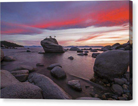 Bonsai Rock On Fire - Canvas Print-10.000" x 6.625"-Lake Tahoe Prints