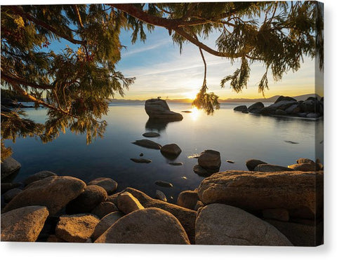 Bonsai Rock Sunburst - Canvas Print by Brad Scott
