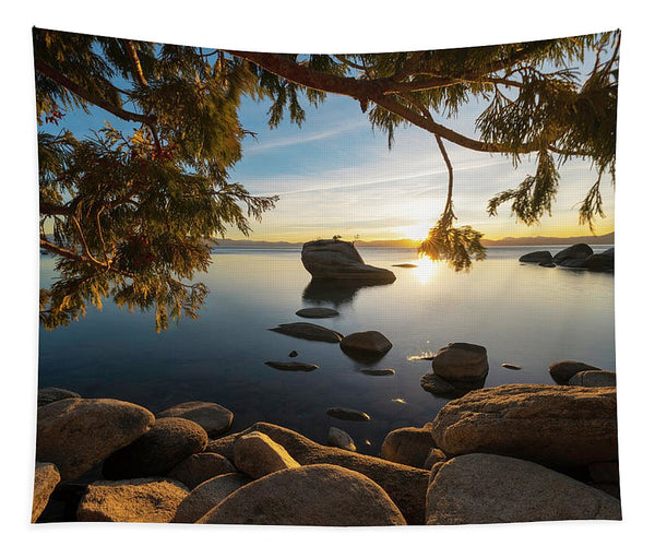 Bonsai Rock Sunburst - Tapestry