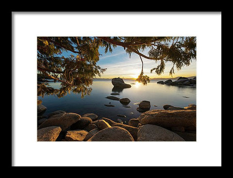 Bonsai Rock Sunburst - Framed Print by Brad Scott