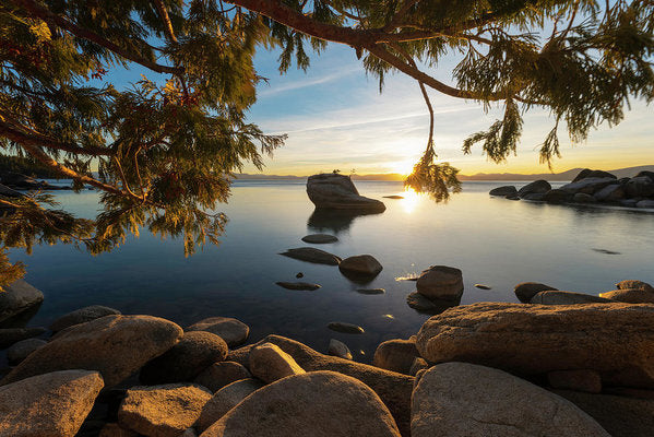 Bonsai Rock Sunburst - Art Print