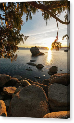 Bonsai Rock Sunburst Vertical - Canvas Print by Brad Scott
