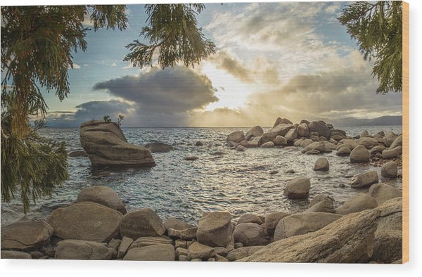 Bonsai Rock Through The Trees By Brad Scott - Wood Print