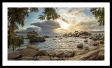 Bonsai Rock Through The Trees By Brad Scott - Framed Print