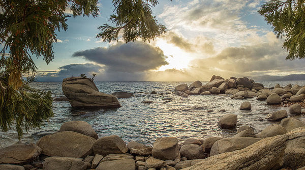 Bonsai Rock Through The Trees By Brad Scott - Art Print