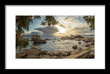 Bonsai Rock Through The Trees By Brad Scott - Framed Print