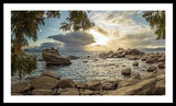 Bonsai Rock Through The Trees By Brad Scott - Framed Print