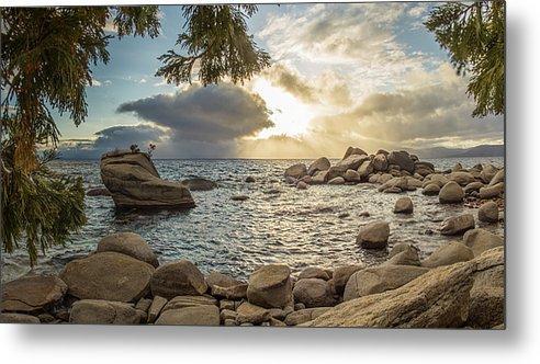 Bonsai Rock Through The Trees By Brad Scott - Metal Print