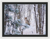 Coyote In The Aspens - Framed Print-Lake Tahoe Prints