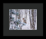 Coyote In The Aspens - Framed Print-Lake Tahoe Prints