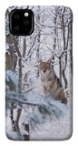 Coyote In The Aspens - Phone Case