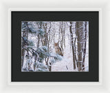 Coyote In The Aspens - Framed Print-Lake Tahoe Prints