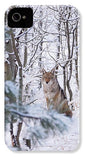 Coyote In The Aspens - Phone Case