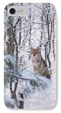 Coyote In The Aspens - Phone Case