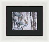 Coyote In The Aspens - Framed Print-Lake Tahoe Prints