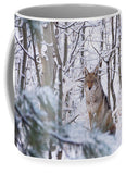 Coyote In The Aspens - Mug-Lake Tahoe Prints