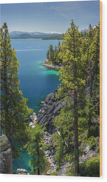 Dl Bliss Lookout By Brad Scott - Wood Print