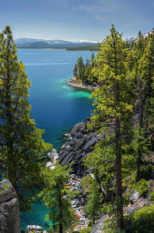 Dl Bliss Lookout By Brad Scott - Art Print