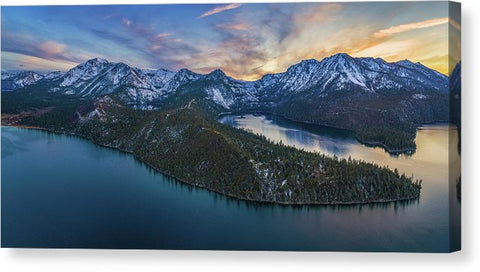 Eagle Vision By Brad Scott - Canvas Print