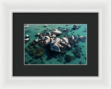 East Shore Boulders - Framed Print