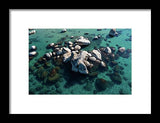 East Shore Boulders - Framed Print