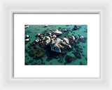 East Shore Boulders - Framed Print