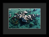 East Shore Boulders - Framed Print