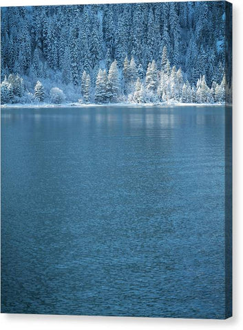Emerald Bay Frozen Trees by Brad Scott - Canvas Print