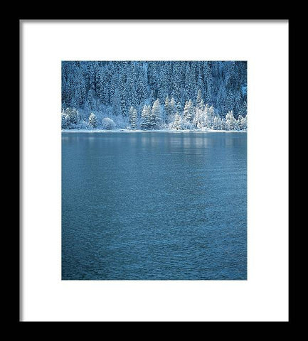 Emerald Bay Frozen Trees by Brad Scott - Framed Print