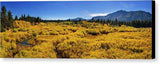 Fall Colors At Kiva - Canvas Print-20.000" x 6.625"-Lake Tahoe Prints