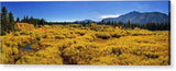 Fall Colors At Kiva - Acrylic Print