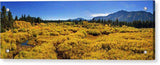 Fall Colors At Kiva - Acrylic Print