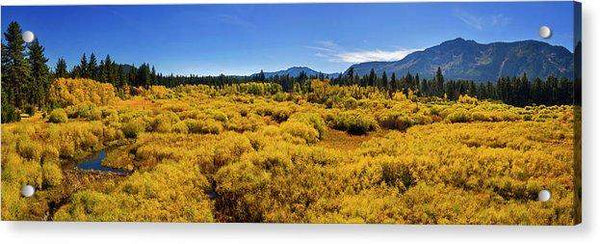 Fall Colors At Kiva - Acrylic Print